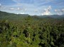 کشف آنتی‌بیوتیک جدید در جنگل‌های گرمسیری