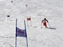 ۶ اسکی باز معلول به اردو فراخوانده شدند