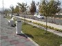 نخستین پارک تخصصی معلولان در شیراز احداث می‌شود