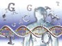 برگزاری کارگاه‌های کشوری ژنتیک در حوزه‌های مختلف علوم زیستی