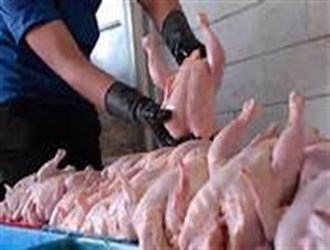 افزایش قیمت مرغ در آستانه نوروز منطقی است