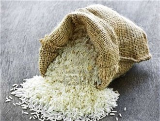 برنج با ارز ۴۲۰۰ تومانی وارد می‌شود/ کمبود برنج نداریم