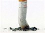 برنامه‌های مداخلاتی "ترک سیگار" در قالب خانواده محوری انجام گیرد