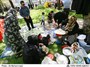 برنامه های شهرداری تهران برای روز طبیعت