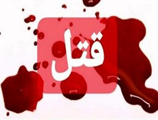 محاکمه پسرجوانی که با همدستی دوستش،پدر و مادر خود را کشت/ متهم ردیف2:محمدگفت بعد از قتل،ارث خوبی به من می رسد و برایت موتور می خرم