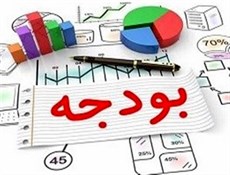 اختصاص ۱۰۰ میلیارد تومان برای اجرای قانون حمایت از حقوق معلولان