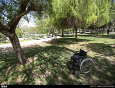عملکرد ضعیف وزارت صنعت/ مسئولیت اجتماعی به بهزیستی واگذار شود