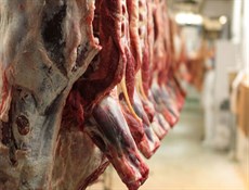 پروتئین گوشت قرمز موجب چاقی می شود