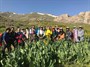 صعود به قله هفتخان +مستند صوتی