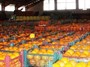 500 کامیون مواد غذایی و میوه به روسیه صادر شد/ارسال نخستین محموله لبنی و دامی در بهمن ماه