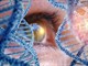 وضعیت ژن درمانی بیماریهای چشمی در ایران